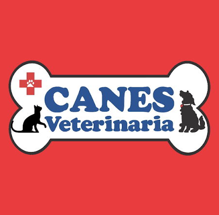 CanesVeterinaria